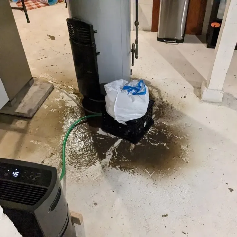 Sewage Backup Cleanup Service in Carl Junction, MO